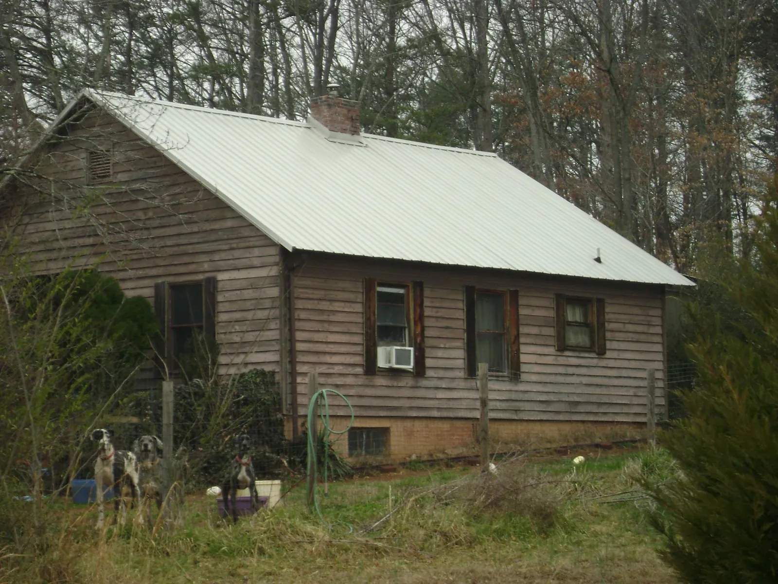 White metal roof on an old wood sided farmhouse, from a Asphalt Shingle Roof Repair job in Devens